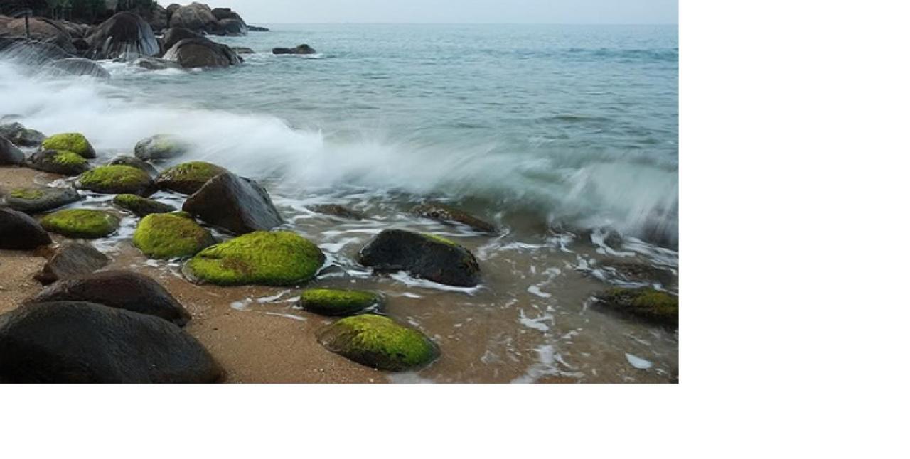 Da Nang Minh Hai Bagian luar foto