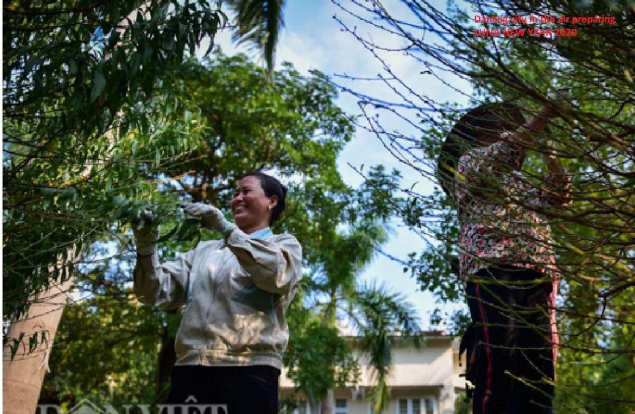 Da Nang Minh Hai Bagian luar foto